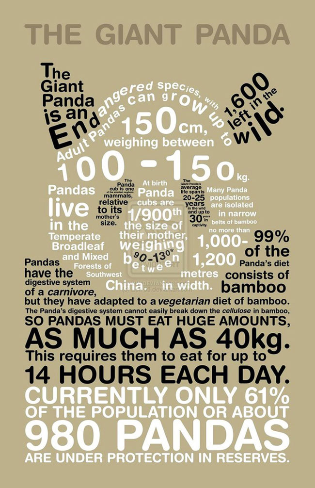 圖像和文本在網(wǎng)站設(shè)計(jì)中哪個(gè)更重要？(圖1)