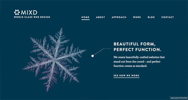 大道至簡(jiǎn)！欣賞18款極簡(jiǎn)設(shè)計(jì)風(fēng)格的網(wǎng)站(圖11)